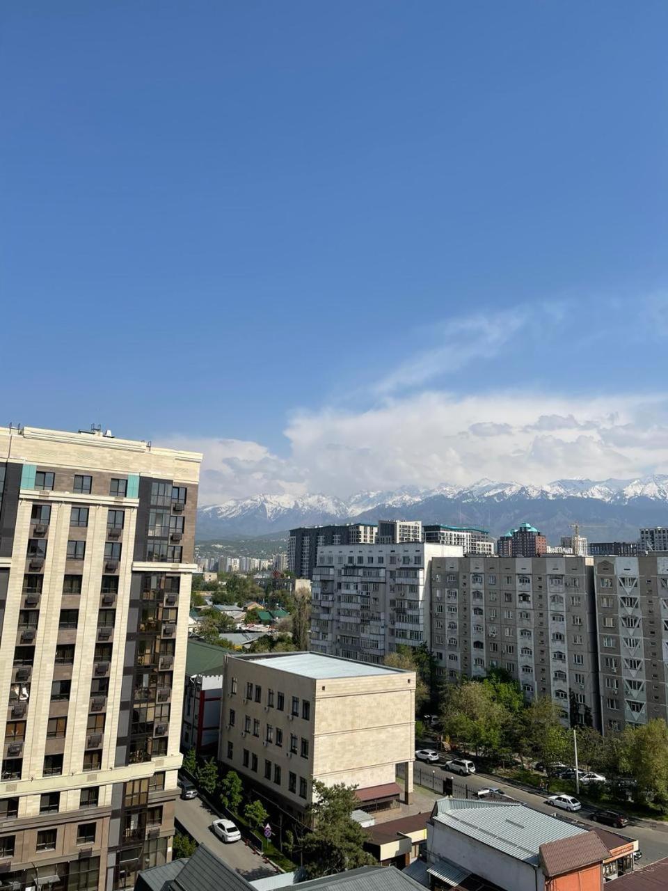 Apartment милое гнездышко Almaty
